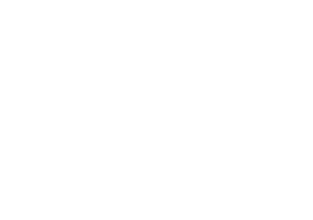 Webtechse